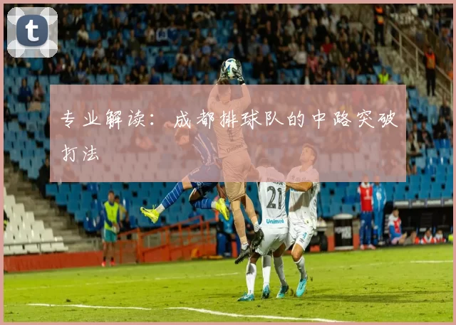 专业解读：成都排球队的中路突破打法