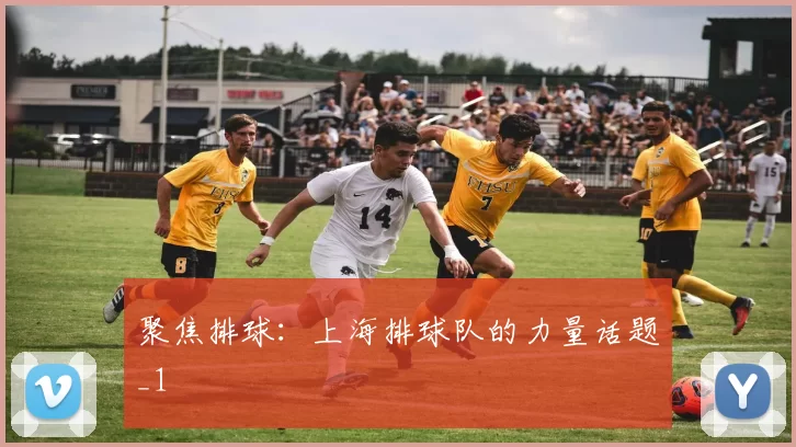 聚焦排球：上海排球队的力量话题_1